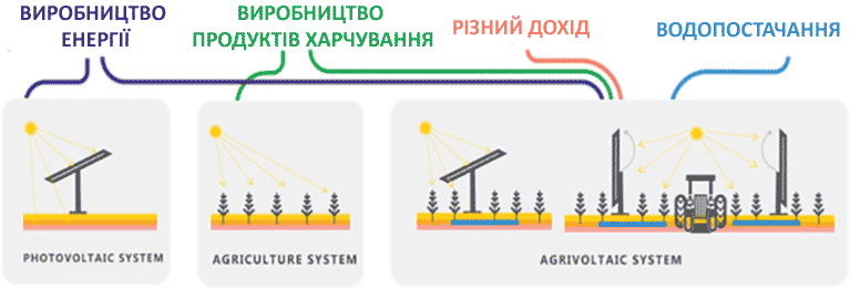 Які культури добре поєднуються із сонячною енергією